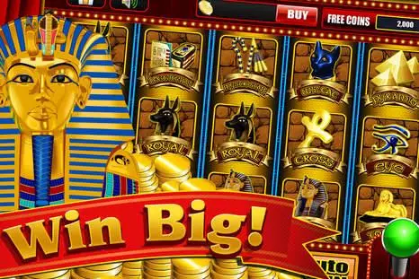 plataforma bet casino - bets plataforma de apostas